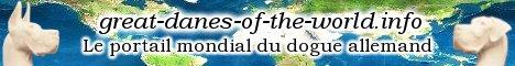 bannière 2 de great-danes-of-the-world.info, le portail mondial du dogue allemand