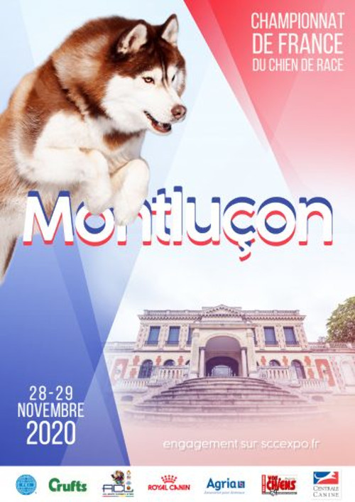 affiche de la 142ème exposition de championnat de France de Montluçon 2020