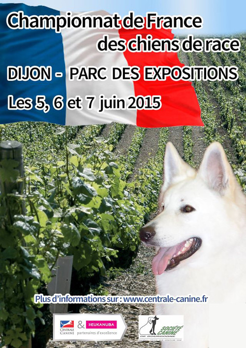 affiche de la 137ème exposition de championnat de France de Dijon