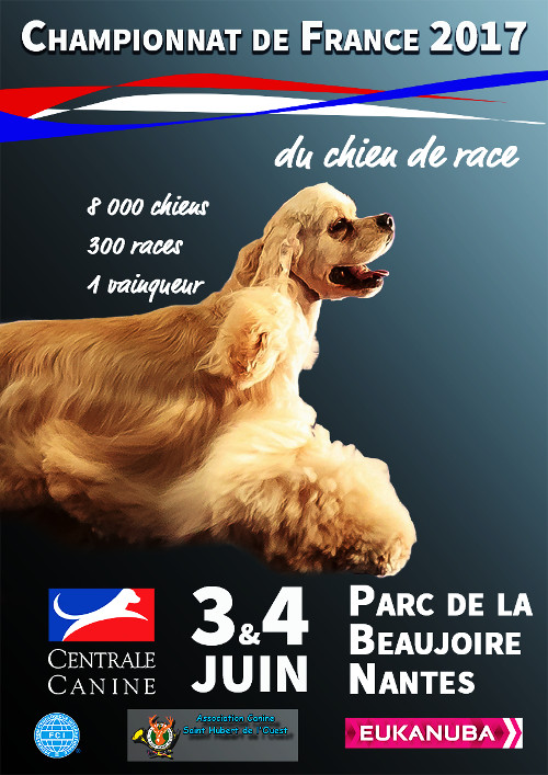affiche de la 139ème exposition de championnat de France de Nantes 2017