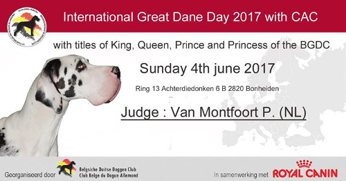 affiche de la journée internationale du dogue allemand 2017 à Bonheiden