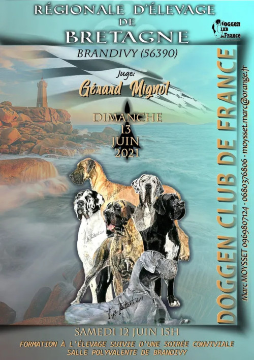 affiche de l'exposition régionale d'élevage de Brandivy 2021