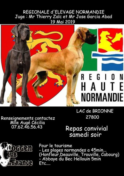 affiche de l'exposition régionale d'élevage de Brionne 2019