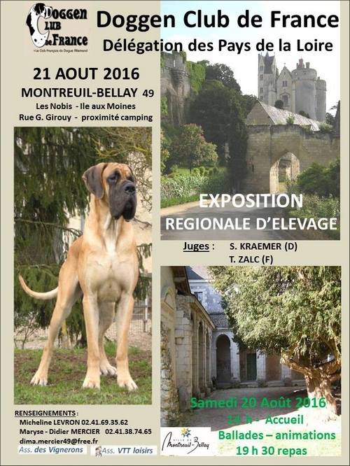 affiche de l'exposition régionale d'élevage de Montreuil-Bellay