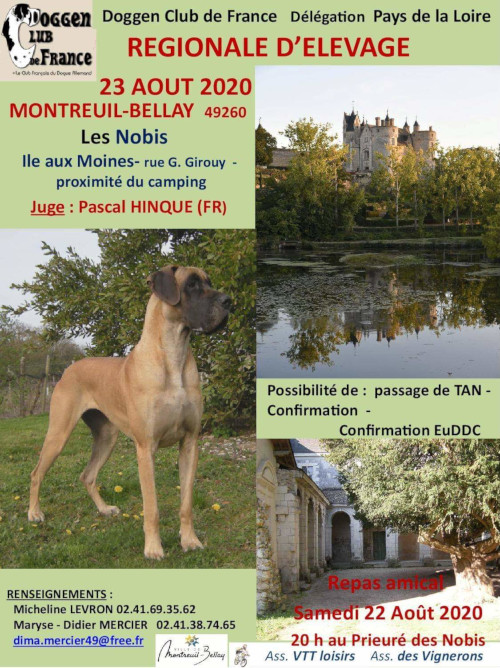 affiche de l'exposition régionale d'élevage de Montreuil-Bellay 2020