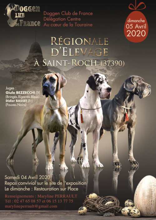 affiche de l'exposition régionale d'élevage de Saint-Roch 2020