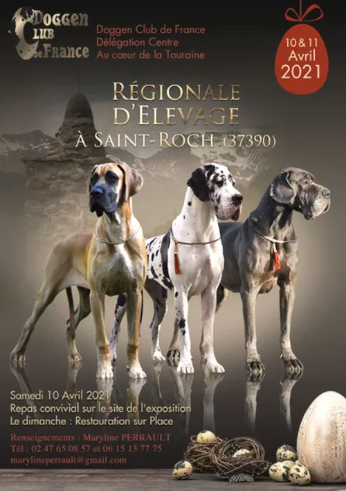 affiche de l'exposition régionale d'élevage de Saint-Roch 2021