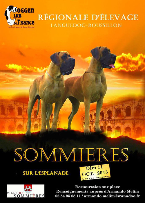 poster of l'exposition régionale d'élevage in Sommières