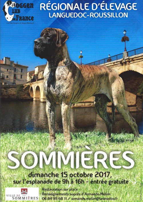 Poster of l'exposition régionale d'élevage in Sommières 2017